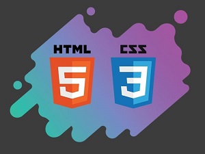 Web Designing Bootcamp (HTML, CSS)