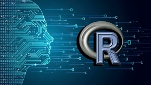 Certified Machine Learning Expert using R
